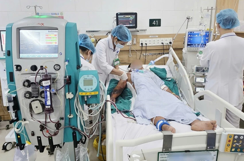 Đắp lá của thầy lang sau khi bị rắn cắn, người đàn ông 34 tuổi tử vong