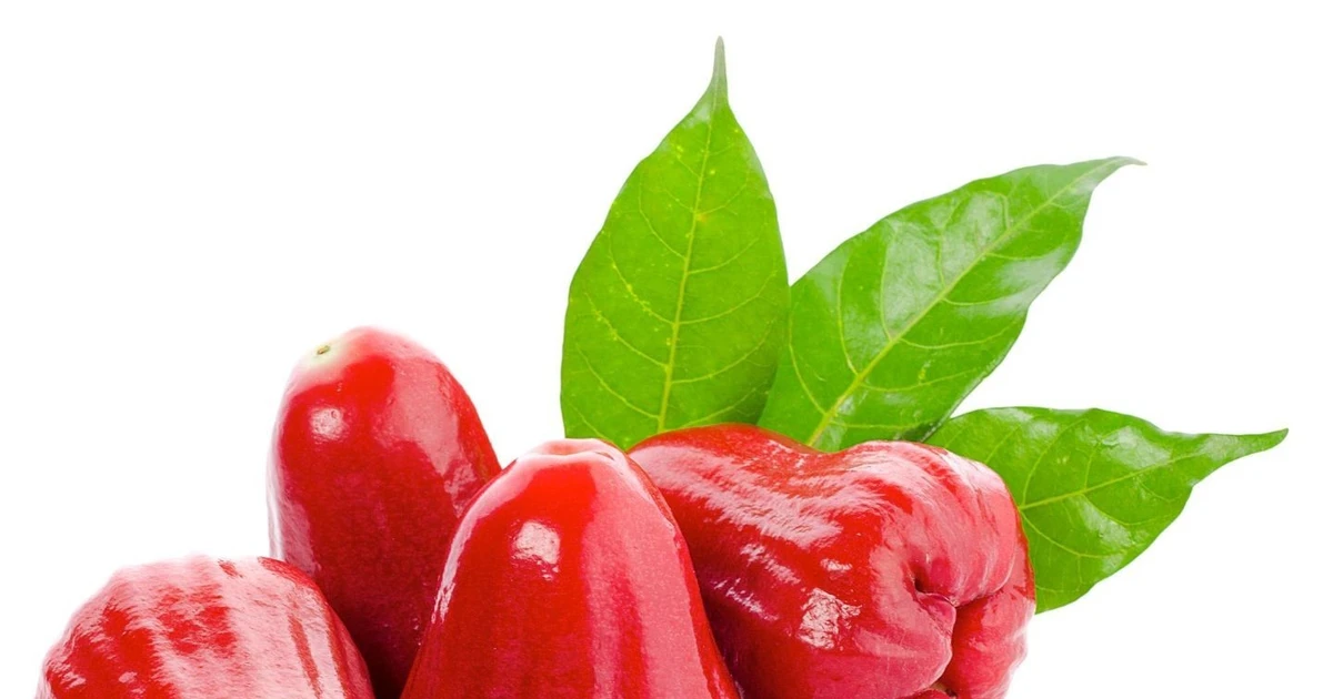 Lợi ích tuyệt vời của quả roi đối với sức khỏe