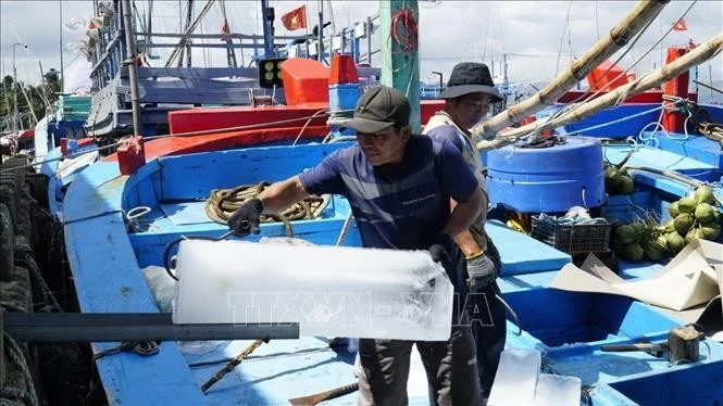 Ngư dân Gia Lai chuẩn bị ra khơi đón mùa cá ngừ đầu năm mới