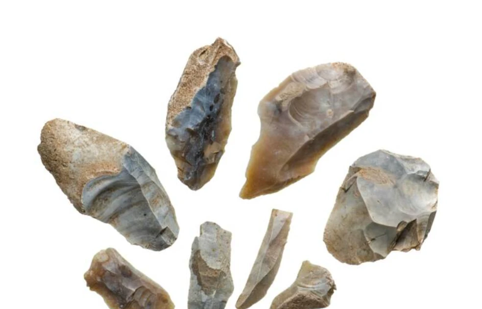 Phát hiện hiện vật 6000 năm tuổi bí ẩn dưới Cung Westminster