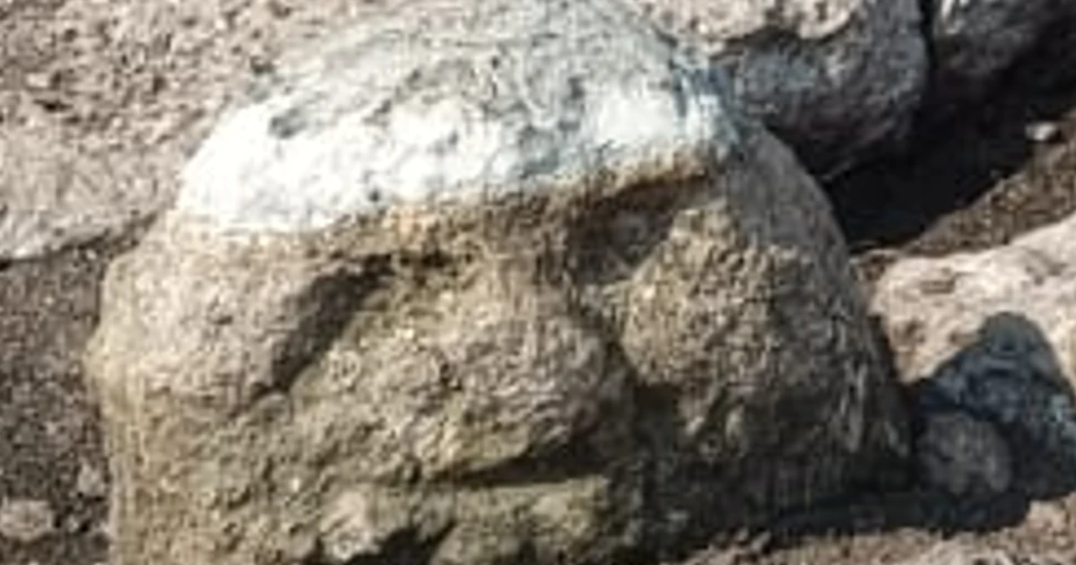 Khám phá cổ vật kỳ lạ từ thời kỳ Tiền cổ điển của người Maya