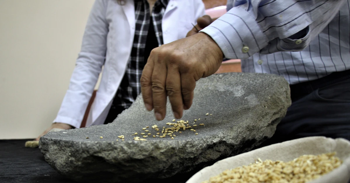 Lâu đài cổ 750 năm trước Công nguyên hé lộ bí ẩn mới