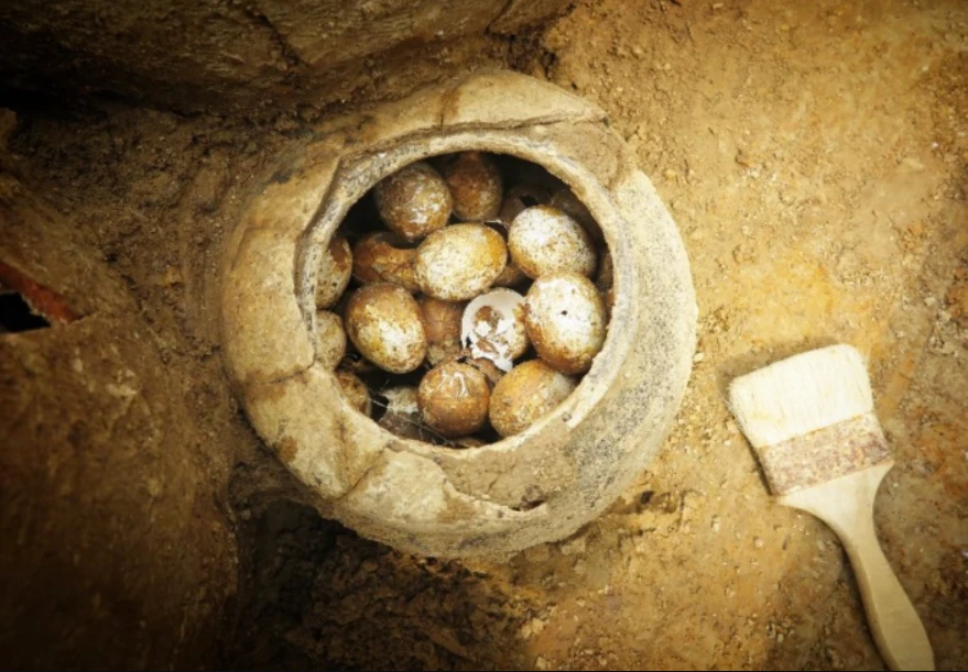 Mộ cổ 2.500 năm ở Giang Tô chứa trứng kỳ lạ, hé lộ bí ẩn về đời sống cổ đại