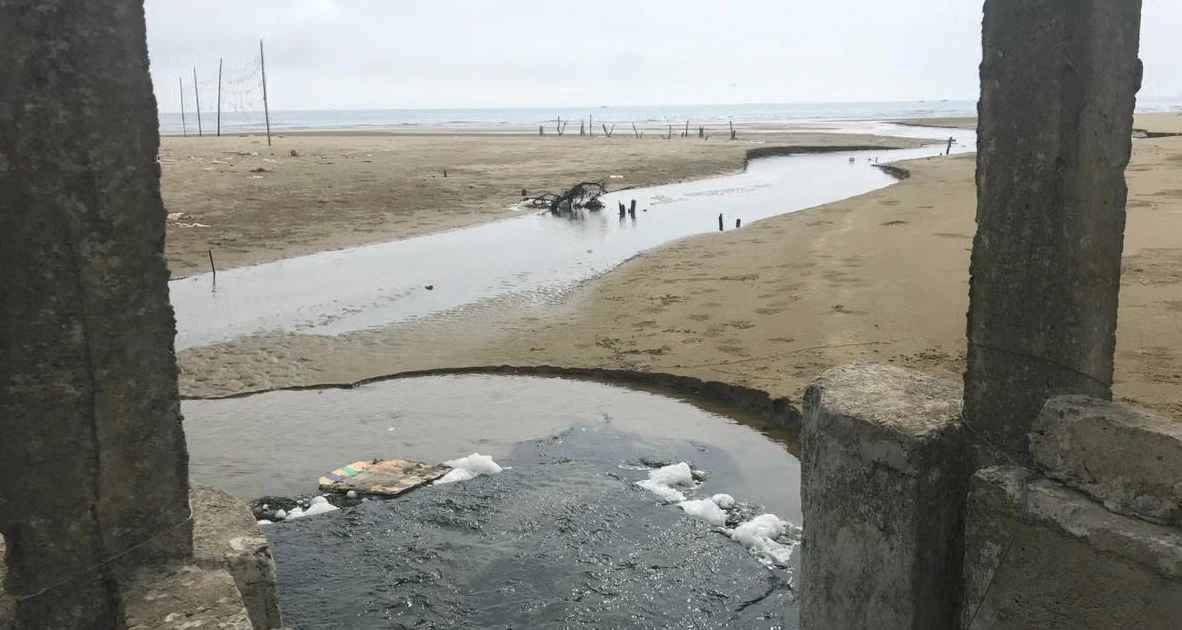 Công ty Đại Thành bị phạt 320 triệu đồng vì nuôi tôm không có giấy phép