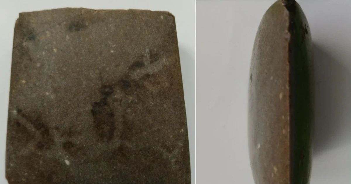 Người làm vườn tìm thấy mảnh rìu cổ đại 4.500 năm tuổi ở Ba Lan