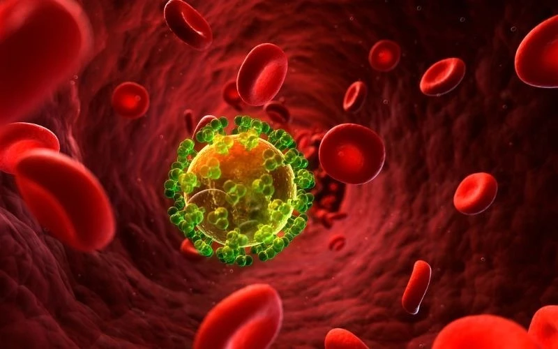 Ảnh hưởng của bệnh lây truyền qua đường tình dục đến thai nhi