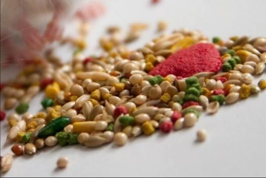 Cứu trẻ 13 tuổi uống thuốc diệt chuột Bromadiolone do giận mẹ