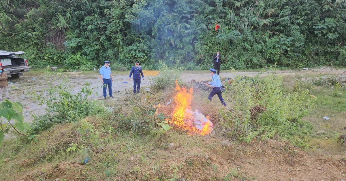 Phát hiện gần 400 kg thịt lợn không rõ nguồn gốc tại Tuyên Quang