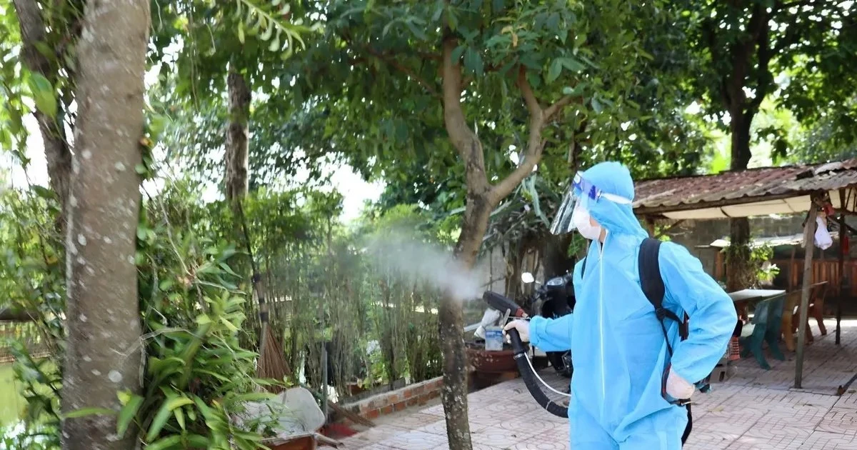 Hà Nội số ca sốt xuất huyết trong tuần giảm mạnh