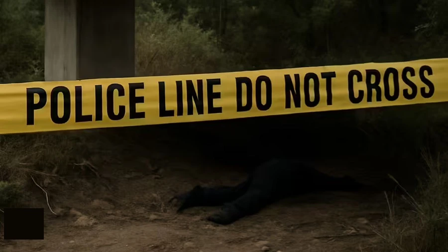 Phát hiện thi thể cô gái mất tích sau khi đi xin việc