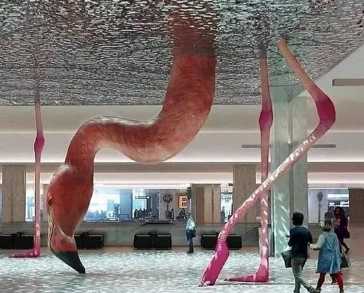 Loạt ảnh siêu thực được ghi lại khiến người nhìn sửng sốt