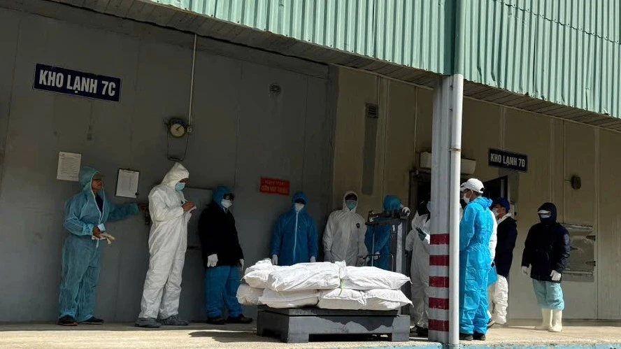 Hải Phòng kiểm tra toàn diện sản phẩm của Công ty Hạ Long vì dịch tả lợn