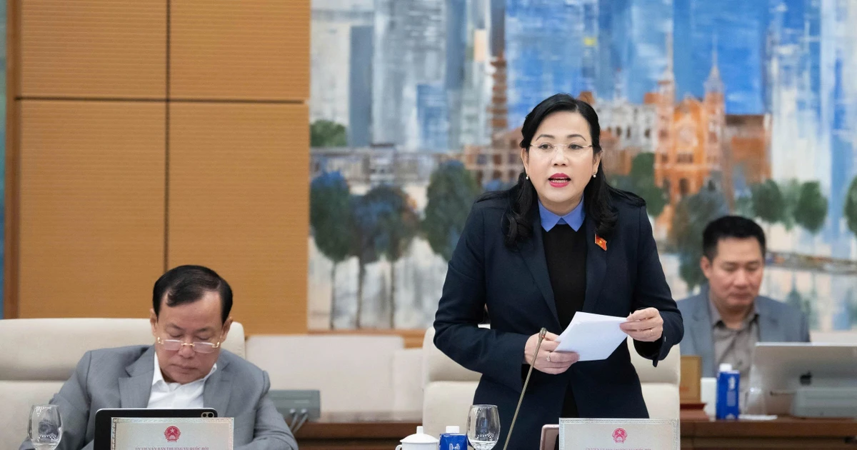 Cơ quan nào chịu trách nhiệm vụ Công ty Đồ hộp Hạ Long?