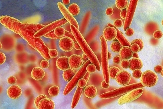 Xét nghiệm vi khuẩn Mycoplasma phát hiện sớm nhiễm khuẩn hô hấp