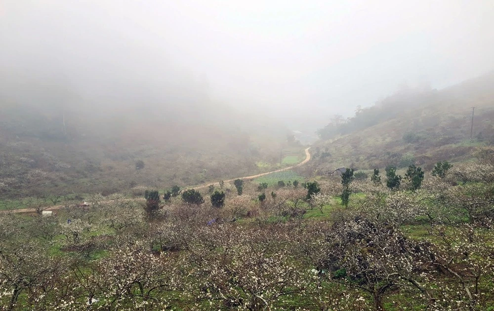 Dự báo thời tiết ngày 3/1/2026: Miền Bắc rét đậm