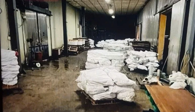 Vụ tuồn 120 tấn lợn bệnh vào Đồ hộp Hạ Long, các đối tượng sẽ bị xử lý sao?