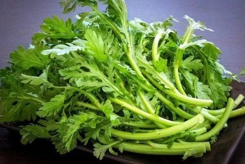 Rau cải cúc tốt cho tim mạch, hệ miễn dịch