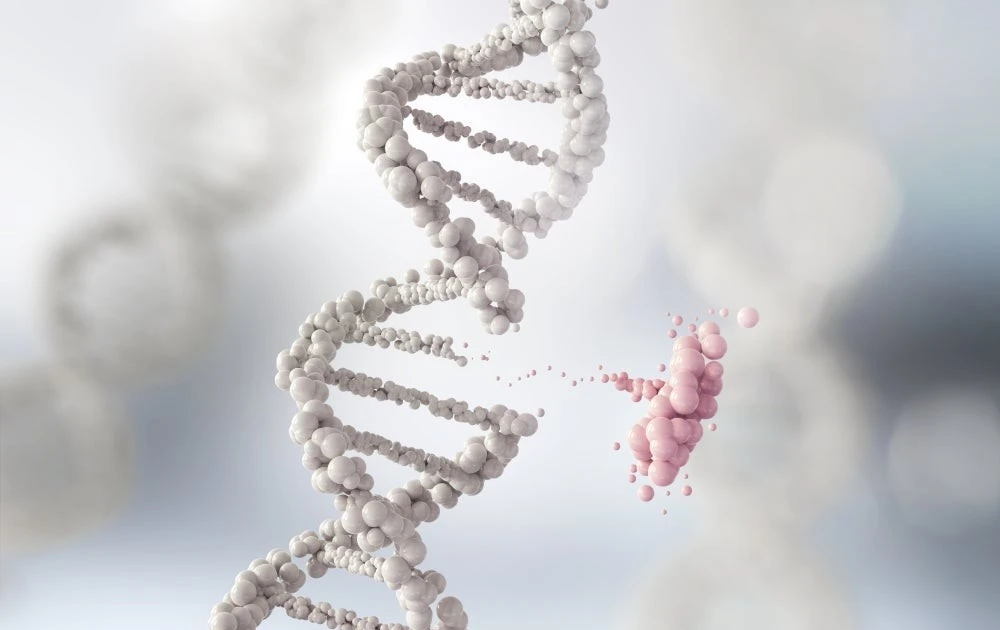 Ảnh hưởng của lạc nội mạc tử cung đến sinh sản và thai kỳ