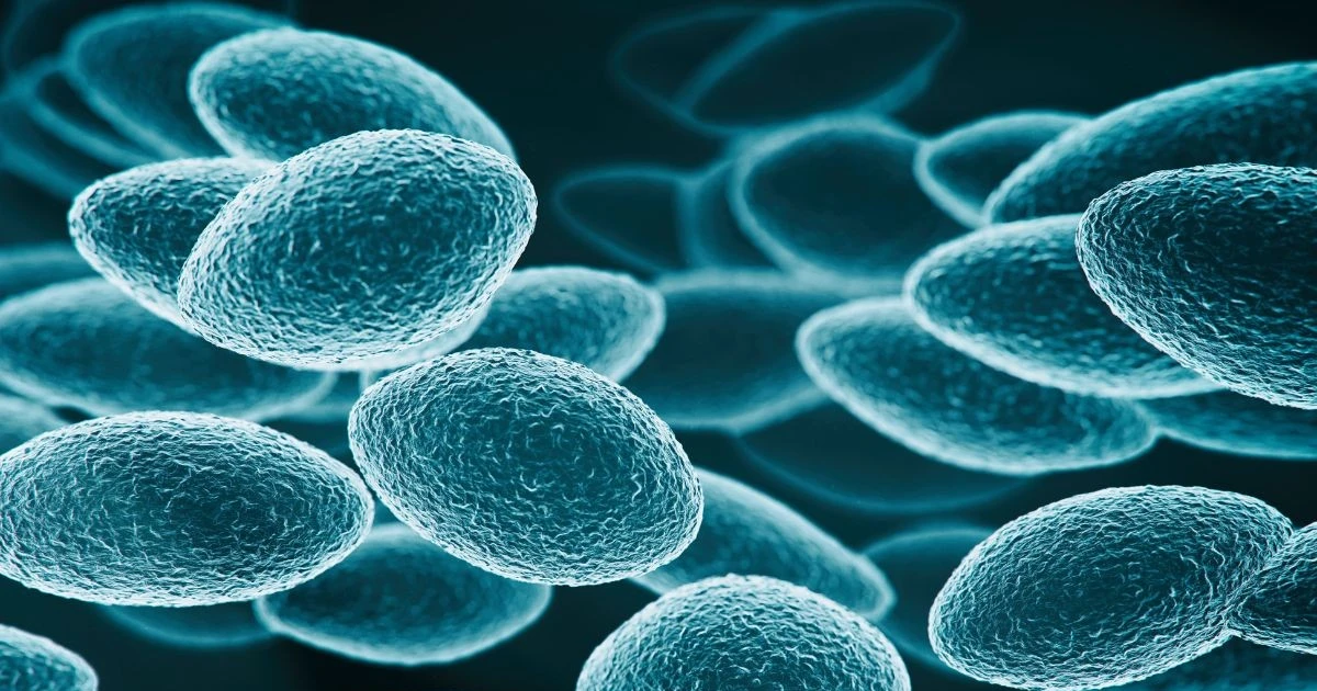 Bổ sung 3 bệnh truyền nhiễm nguy hiểm vào nhóm A theo quy định mới