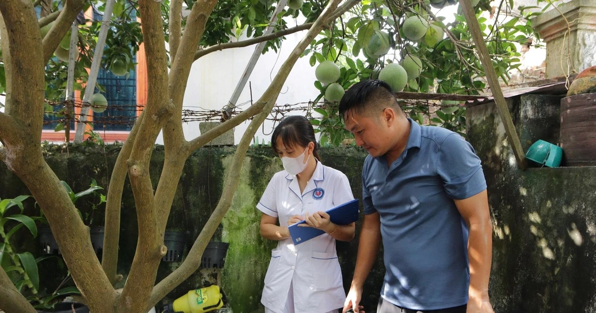 Hà Nội ghi nhận hơn 300 ca sốt xuất huyết mỗi tuần, dịch diễn biến phức tạp