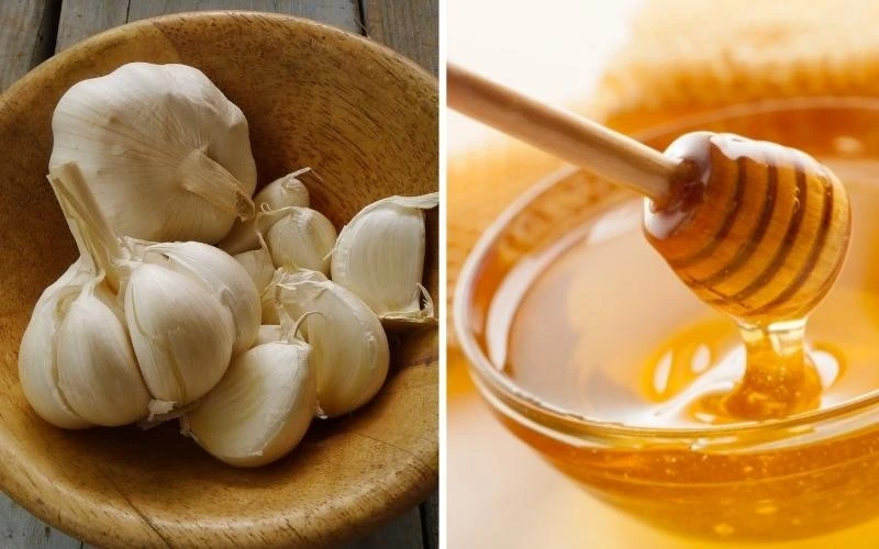 Tỏi ngâm mật ong hỗ trợ tăng cường miễn dịch