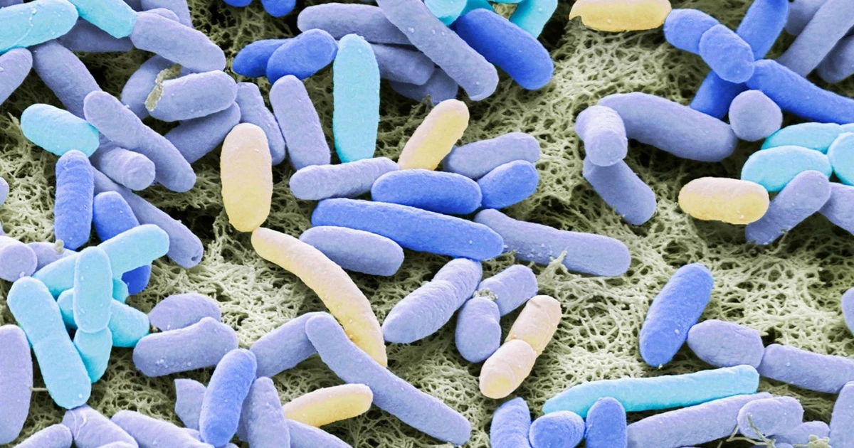 WHO cảnh báo kháng thuốc kháng sinh gia tăng, đe dọa mạng sống toàn cầu