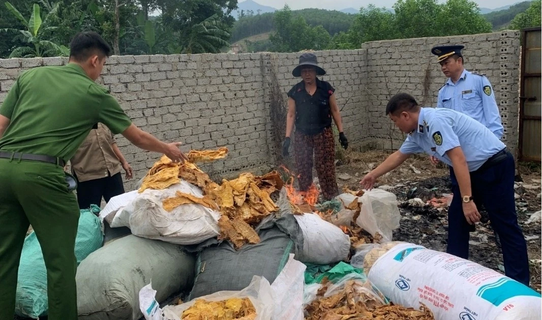 Nghệ An tiêu hủy 150 kg măng khô không rõ nguồn gốc