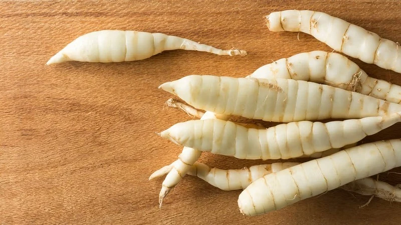 Lợi ích của củ dong trong chăm sóc sức khỏe