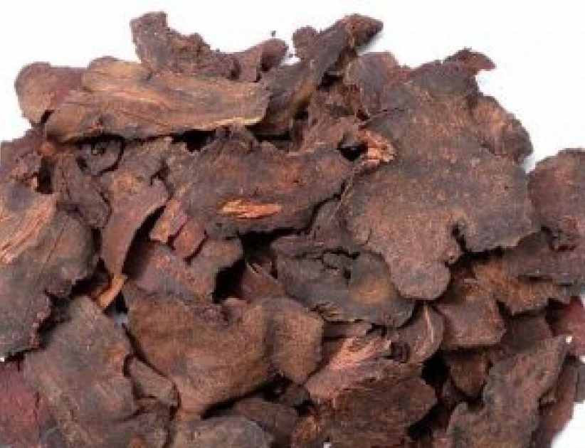 Thu hồi khẩn cấp vị thuốc Hà thủ ô đỏ bị phát hiện vi phạm chất lượng