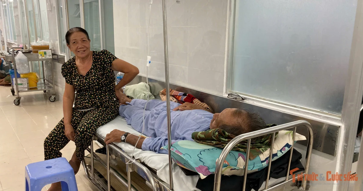 Phát hiện Salmonella trong mẫu bánh mì nghi gây ngộ độc ở Lâm Đồng