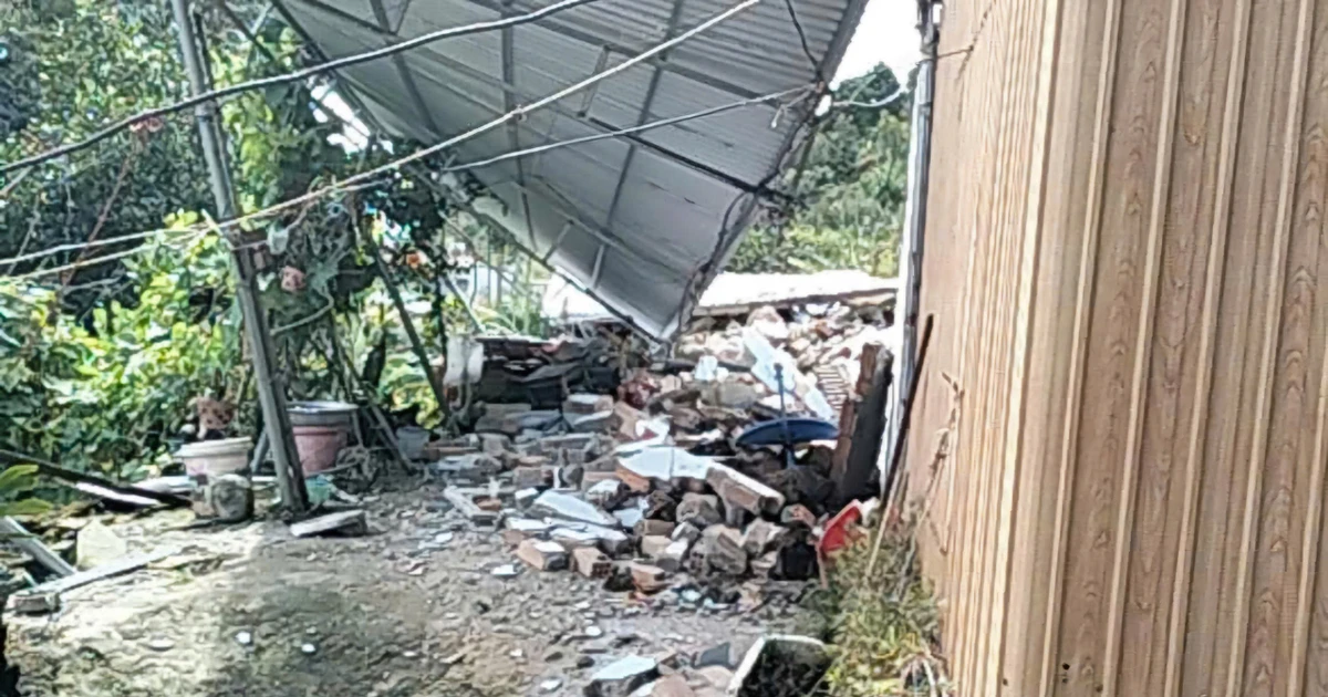 Lâm Đồng: Sạt lở lan rộng tại đồi thông 35ha, cưỡng chế di dời hộ dân