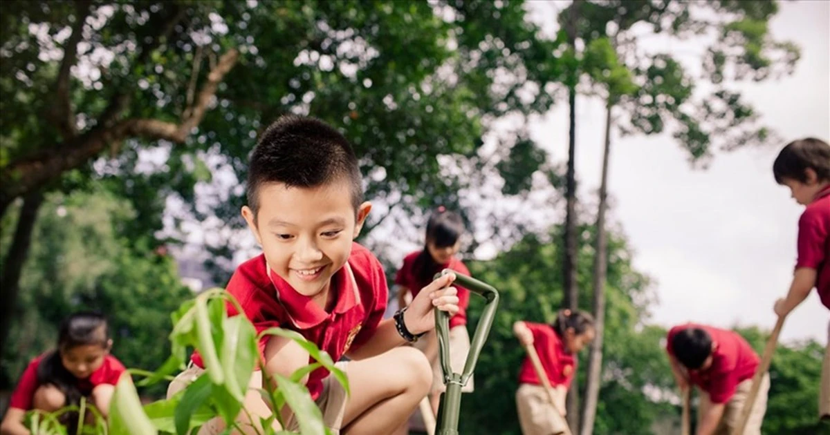 Bảo vệ môi trường phải là nền tảng của phát triển bền vững