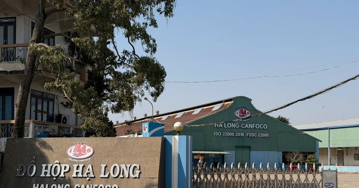 Công ty Đồ hộp Hạ Long tạm dừng hoạt động sau vụ bắt giữ CEO