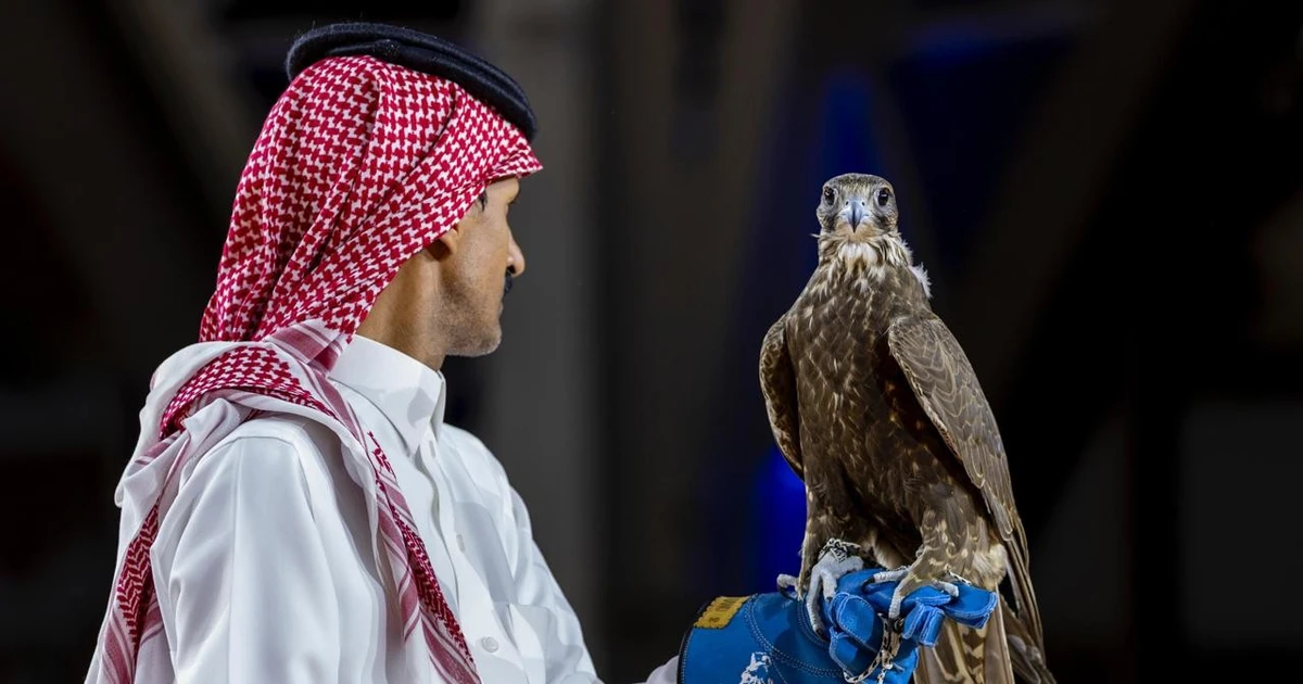 Chim bồ câu và cá ngừ đạt giá kỷ lục trong các cuộc đấu giá quốc tế