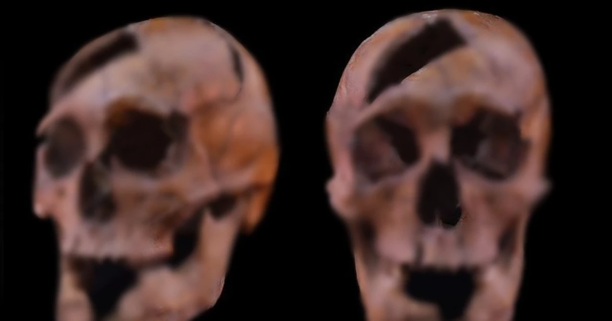 Hài cốt 750 năm tuổi tiết lộ vụ ám sát đẫm máu của Công tước Béla xứ Macsó