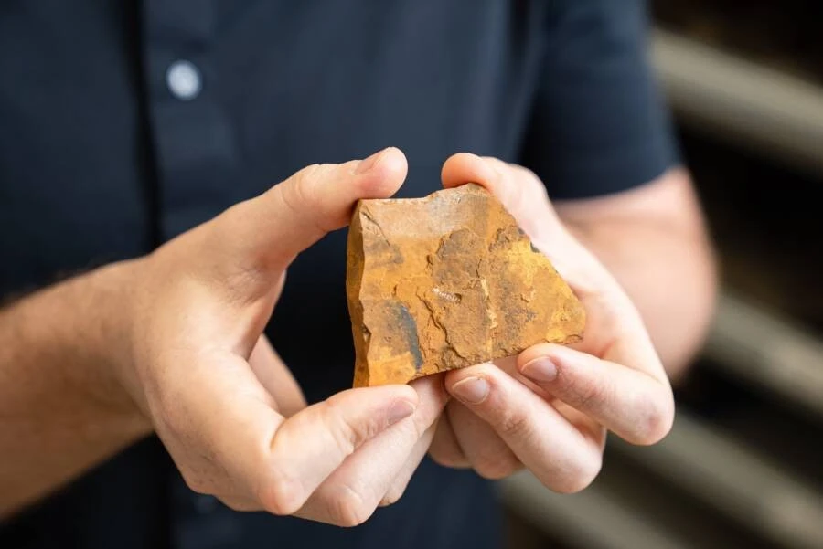 Hóa thạch muỗi cổ nhất tại Nam bán cầu mở ra chân dung mới về tiến hóa