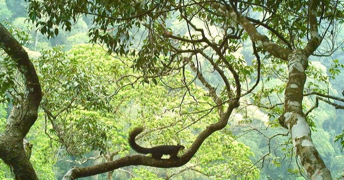 Khám phá đa dạng sinh học tại VQG Du Già và Cao nguyên đá Đồng Văn