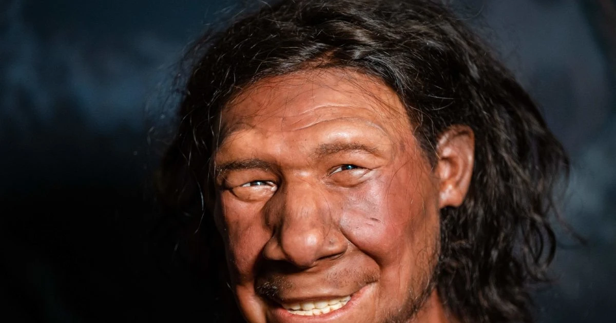 Khám phá hộp sọ người Neanderthal hoàn chỉnh tại Italy