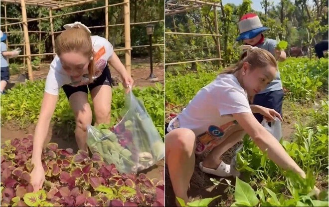 Khu vườn đủ loại rau củ và trái cây của Chi Bảo tvà vợ trẻ