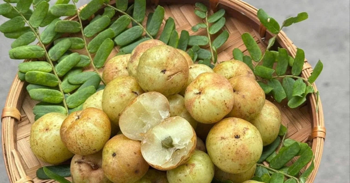 Quả mọc hoang dại bỗng trở thành đặc sản hút khách ở Hà Nội