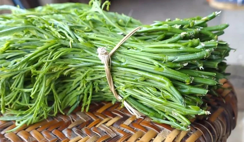 Top 4 loại rau đặc sản mùa ở Việt Nam có giá triệu đồng/kg