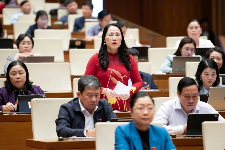 ĐBQH lo lắng về tội phạm công nghệ cao và lừa đảo trên mạng