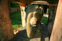 Điện Voi Ré Huế và Truyền thuyết voi chiến triều Nguyễn gây xúc động