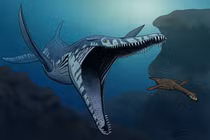 Cú đớp mồi đáng sợ của loài “thuồng luồng” dài 13 mét