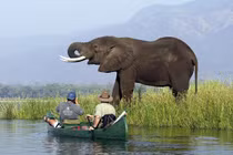 Vẻ đẹp nguyên sơ của Mana Pools, di sản thế giới UNESCO