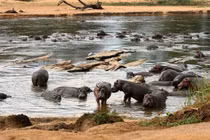 Garamba – nơi giữ gìn di sản thiên nhiên và lịch sử cổ đại