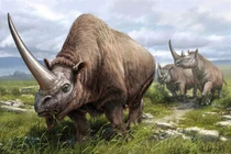 Elasmotherium bí ẩn nguồn gốc huyền thoại kỳ lân từng tồn tại