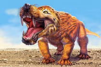 Cận cảnh loài sinh vật 'nửa chó nửa thằn lằn' thời tiền sử