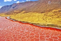 Giải mã bí ẩn hồ tử thần hóa đá mọi sinh vật ở châu Phi