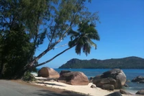 Khám phá thiên đường hoang sơ của hệ sinh thái biển, rùa khổng lồ